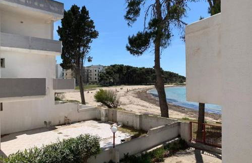 Le Giraffe ( n.CIS LE07503191000035725) - Foto 20