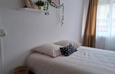 Grand 3 Bedroom Apartment Dijon - Foto 1
