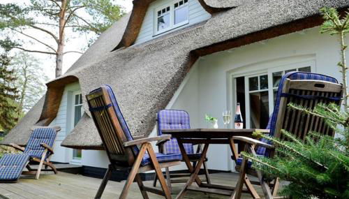 Ferienhaus Rubin mit Sauna und Kamin, Reetdachhaus am Walde - Foto 4, Garden