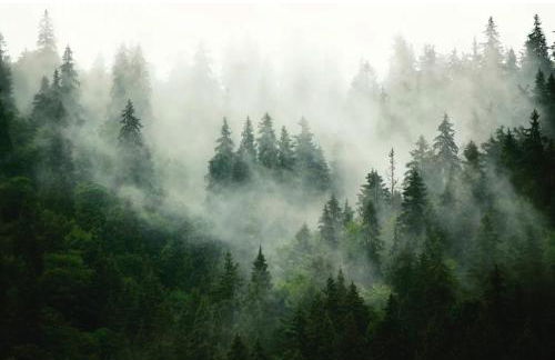 wird gelöscht - Foto 1