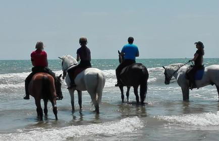 Mirant el Mar - Foto 21