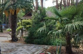 Apartament Nad Jeziorem Brenno - Foto 27