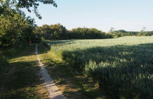 Emilias Hüs, Reethaus in der Bucht von Wismar - Photo 53