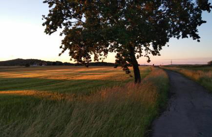 Ferienwohnung Twete - Foto 28