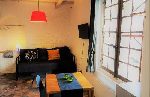 Appartement spacieux avec une vue sur Tours ( 38m²) -Gite de Bellevue - Photo 7