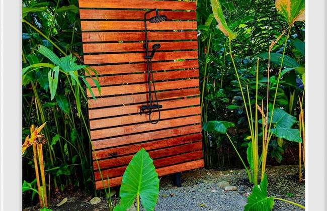 Green Jungle House - Photo 56