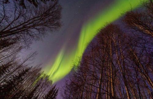 Northern Lights Log House w/ Sauna - Foto 17