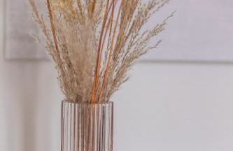 Ruppertsberg - Urlaub in der Weinbergkoje - Foto 12