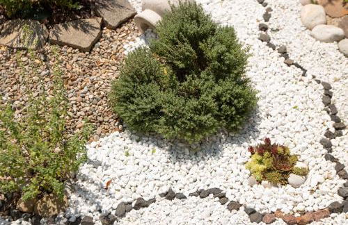 SOLE SPECIAL AP-DOUBLE SOFA BED with TOPPER - Foto 35