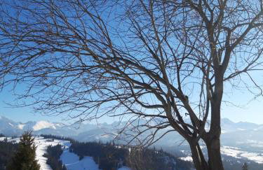 Koślówka - Photo 35
