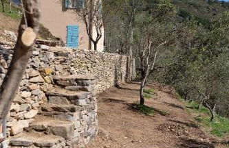 Podere del Pari - Foto 18