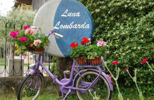 Villa Luna Lombarda - Foto 33