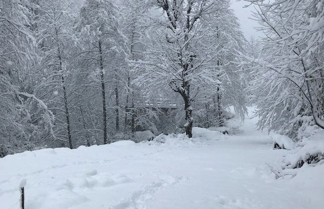 Baraka bungalov - Foto 38