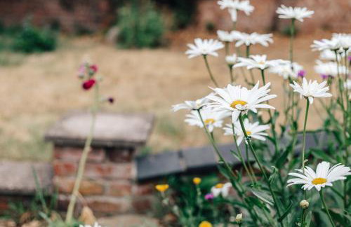 Park End House - Parking Pet Friendly - From 180 Per Night - Foto 112