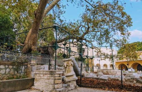 Amalthea Guest House - Foto 40