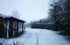 La Casa del Bosco - Foto 47