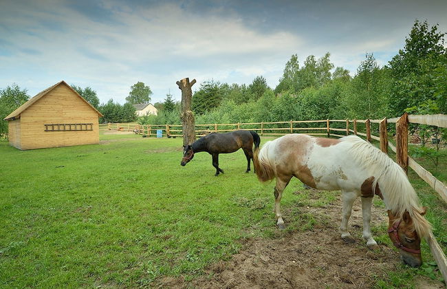 Holiday Home in Skrzynia With Terrace - Photo 22