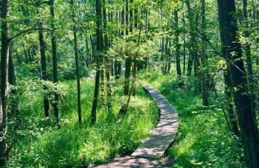 Ferienwohnung Kalleby 26 - Foto 17