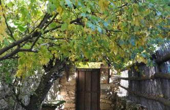 La Quinta Del Chocolatero - Photo 7