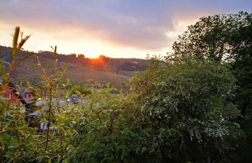 Schmahl Comfortable holiday residence - Foto 8