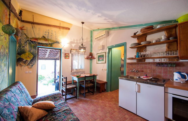 Victorious VIScovery Yellow - Foto 14