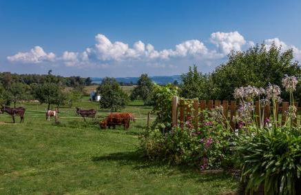 Ferienhof Siber - Foto 11