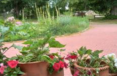 Gandelinka Park Kędrzyno - Foto 2