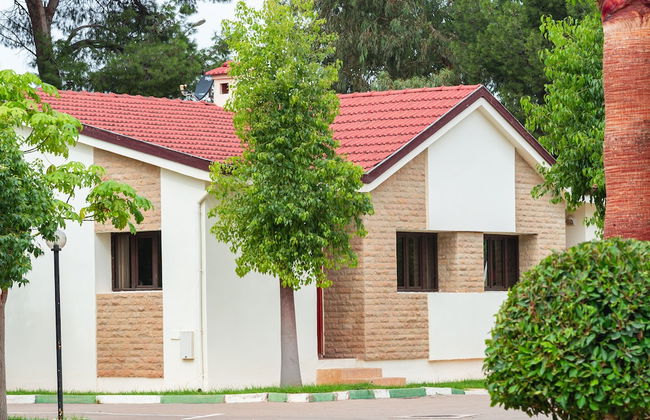 Diamant Vert - Photo 57