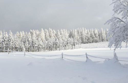 Ferienwohnung Merle in Winterberg-Altastenberg - Photo 21