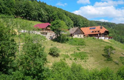 Apartment Schmalzenhof by Interhome - Foto 50