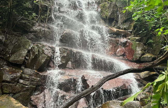 Casa de los Kobiera - Foto 47