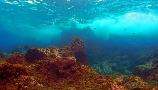 Explorando los fondos oceánicos de Fuencaliente