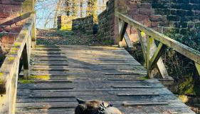 Ferienwohnung am Felswanderweg - Foto 4