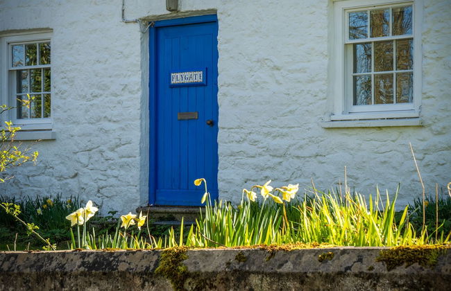 Flygate - 2 Bedroom Cottage - Lawrenny - Foto 47