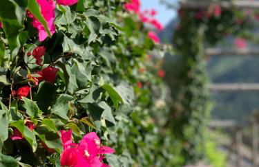 Villa Gelsomina - Foto 4