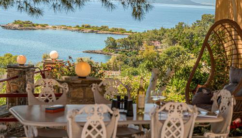 Alexander's - Foto 2