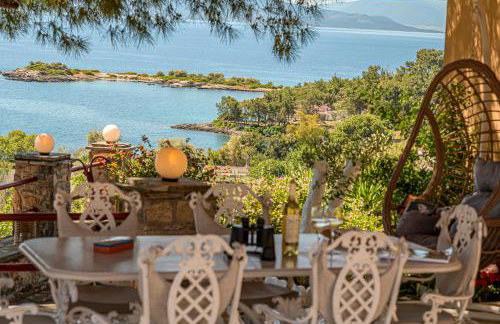 Alexander's - Foto 2