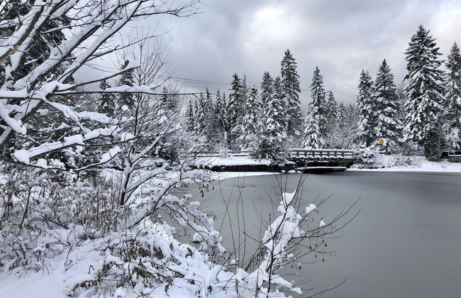 Chalets Le Village Suisse - Foto 67