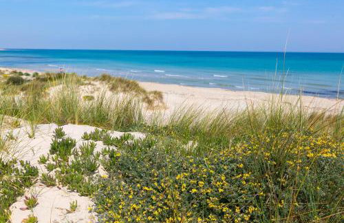 A due Passi dal Mare by BarbarHouse - Foto 3