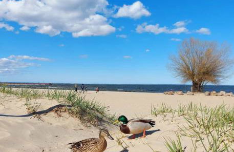 Ferienwohnung ab zum Haff - Foto 9