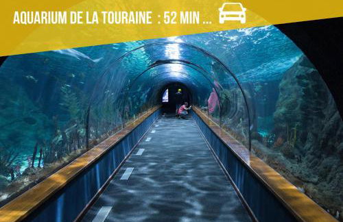 îlot cosy and SPA -PROCHE ZOO BEAUVAL - Foto 33