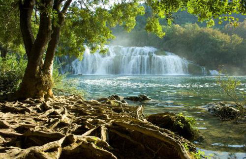 Apartments Brkić, Lozovac Krka NP with Pool - Foto 59