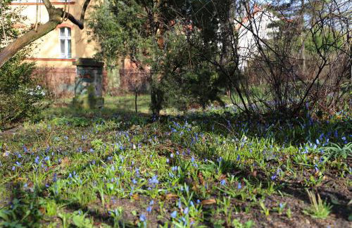 Villa Maria Rosaria - Foto 16