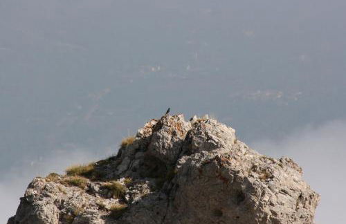 Residenza La Torre - Foto 60