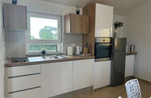 Villa Petra s bazenom, roštiljem i parkingom - Foto 45