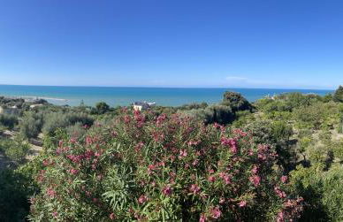 Villa Giulia - Apartment in Villa with sea view - Foto 12