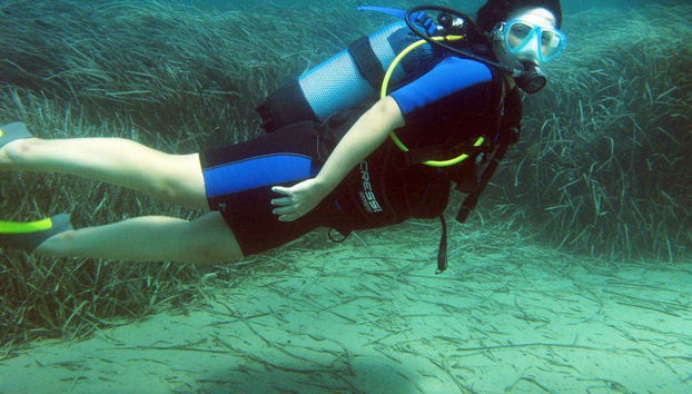 Diving among underwater forests