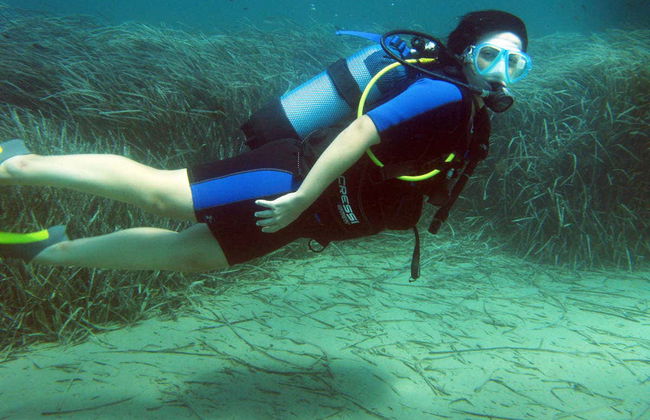 Bautismo de buceo en Nea Makri - Foto 3