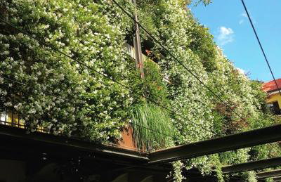 Residence Casa Coppa Appartamento Aster - Foto 12