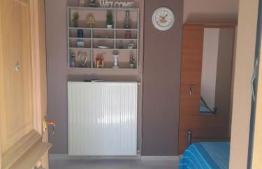 Αίγινα εξοχική κατοικία - Foto 11